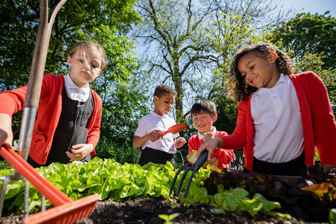 Primary school children learning outside